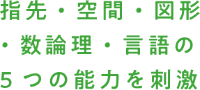 指先・空間・図形・数論理・言語の5つの能力を刺激