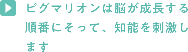 ピグマリオンは脳が成長する順番にそって、知識を刺激します